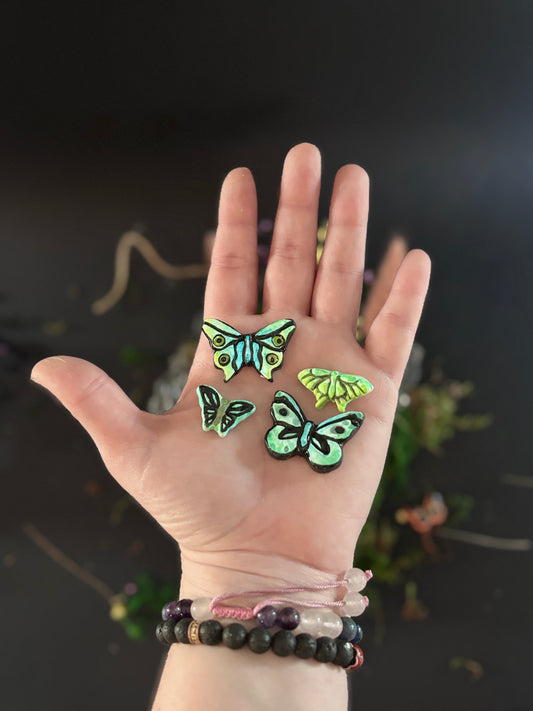 Wild Wings Magnets