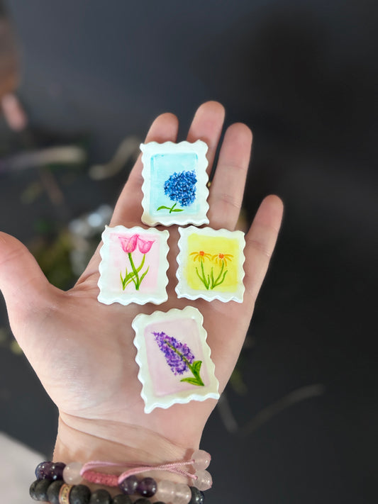 Pocket Gallery Magnets