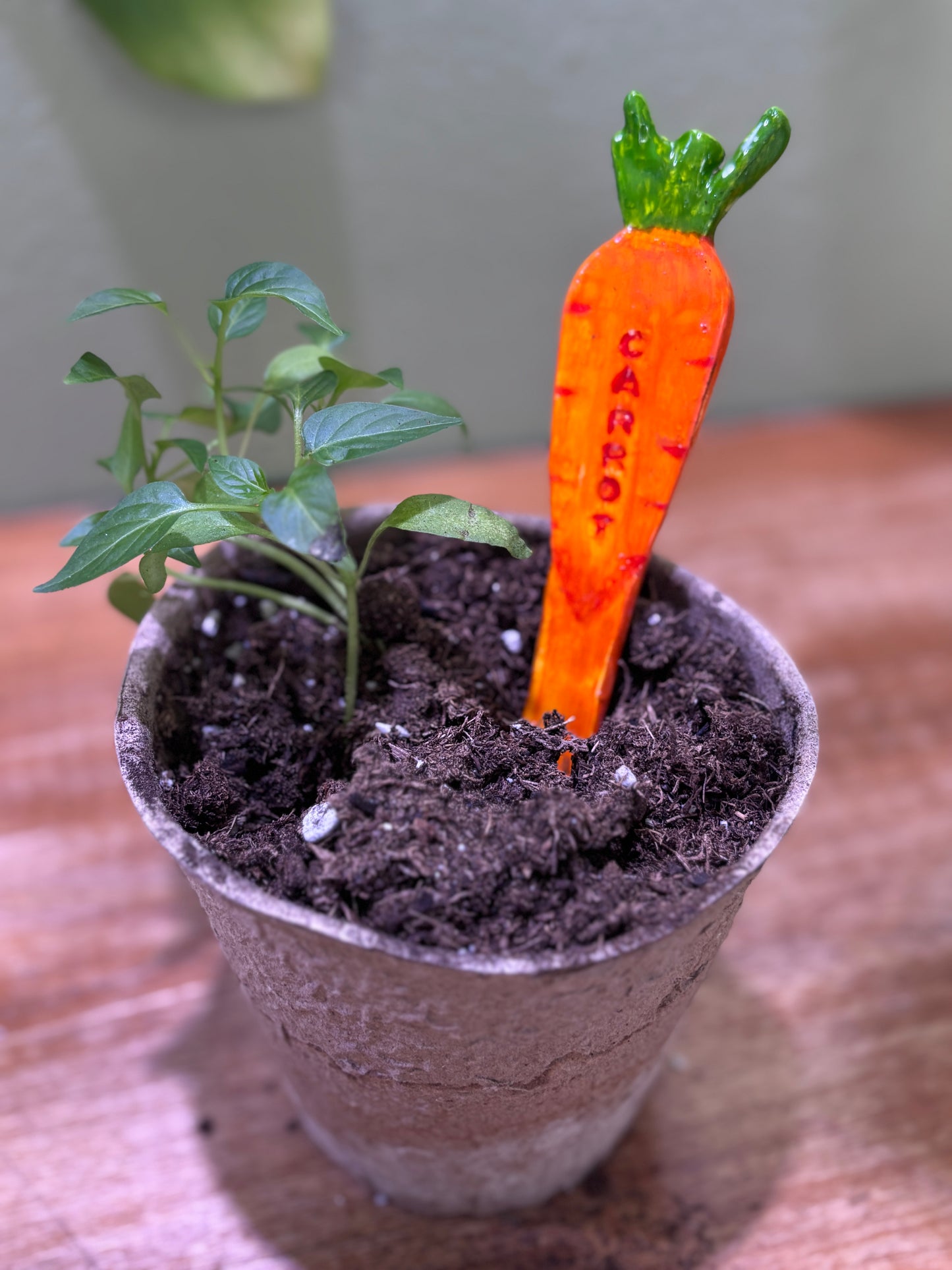 Vegetable Stakes