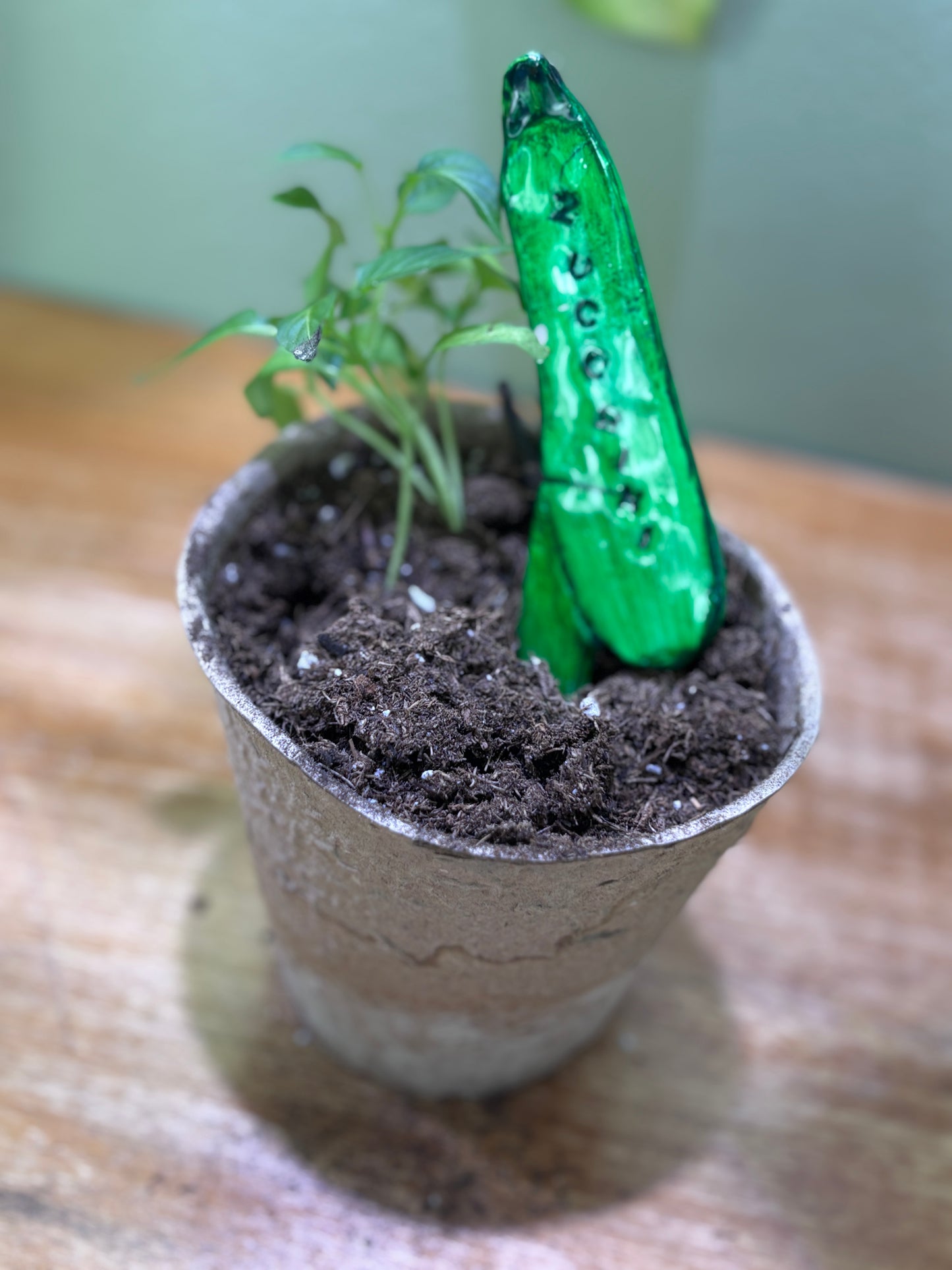 Vegetable Stakes