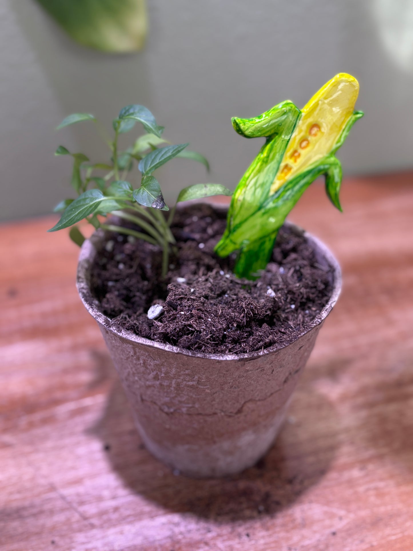 Vegetable Stakes