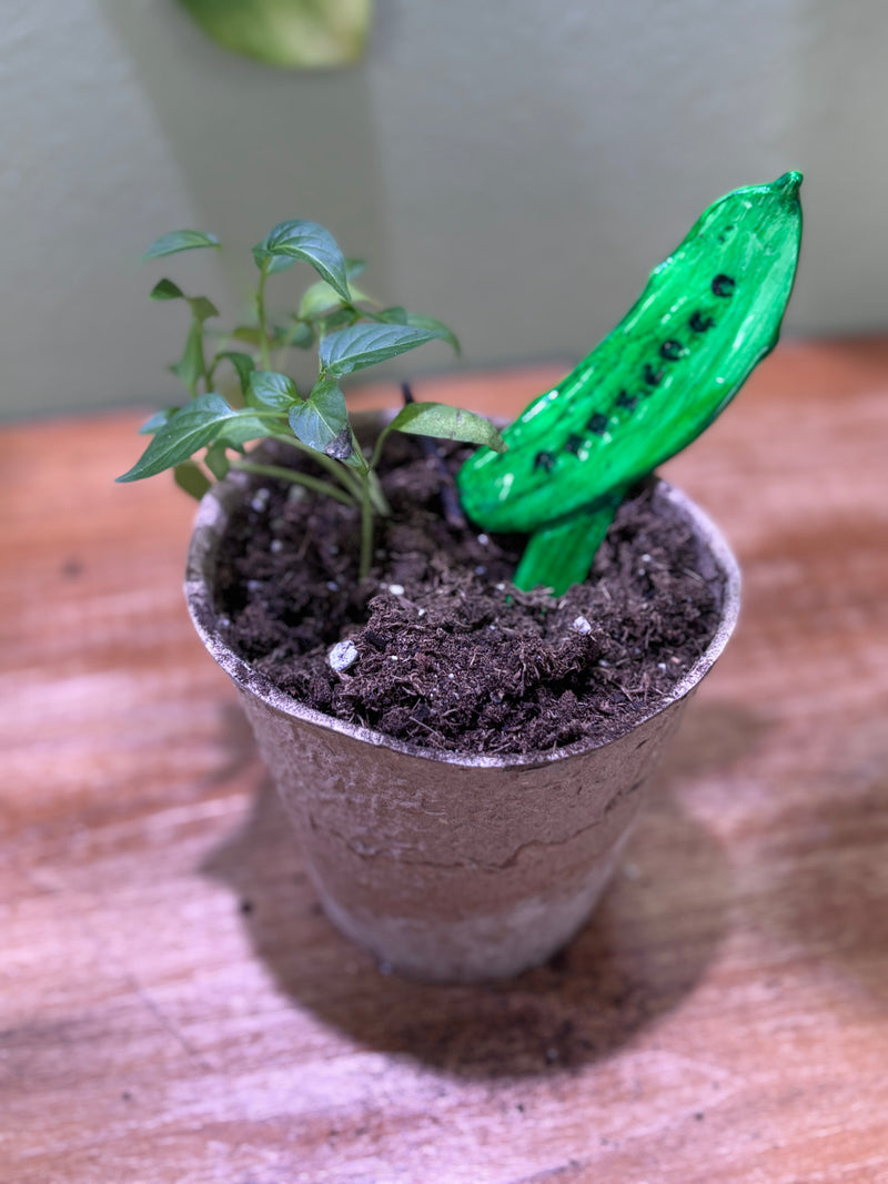 Vegetable Stakes