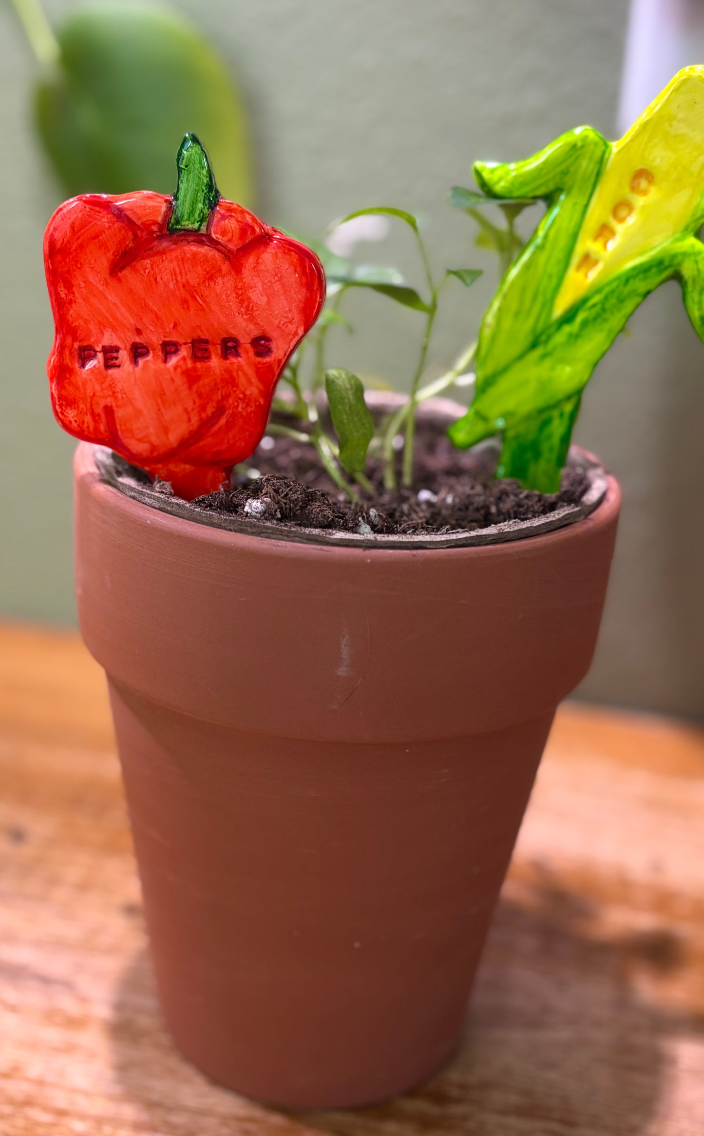 Vegetable Stakes