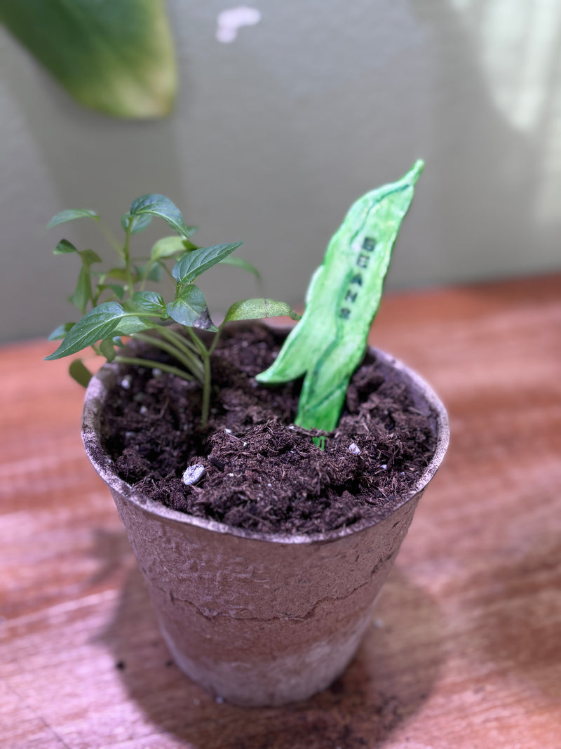 Vegetable Stakes
